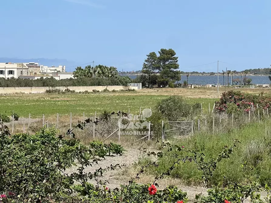 Immagine 3 di Terreno edificabile in vendita  a Marsala