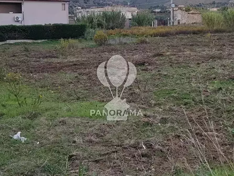 Immagine 5 di Terreno in vendita  in Rurale 14 a Partinico