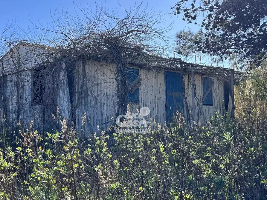 Immagine 25 di Terreno in vendita  a Marsala