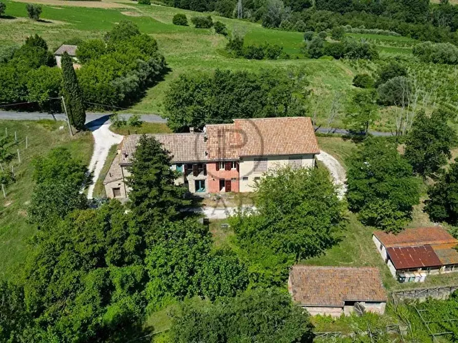 Immagine 10 di Terreno edificabile in vendita  in Serra San Quirico a Serra San Quirico