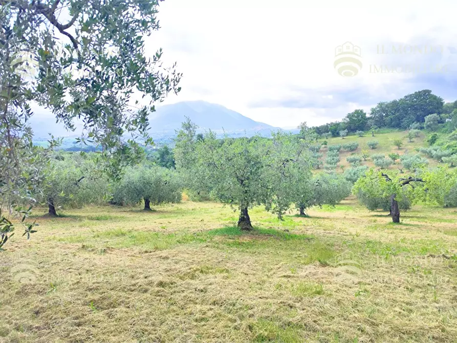 Immagine 14 di Casa bifamiliare in vendita  in Strada di Colle Fagiano a Palombara Sabina