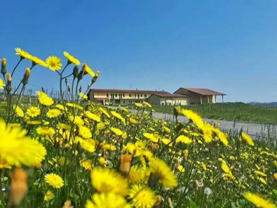 Immagine 27 di Attico in vendita  a Pontestura