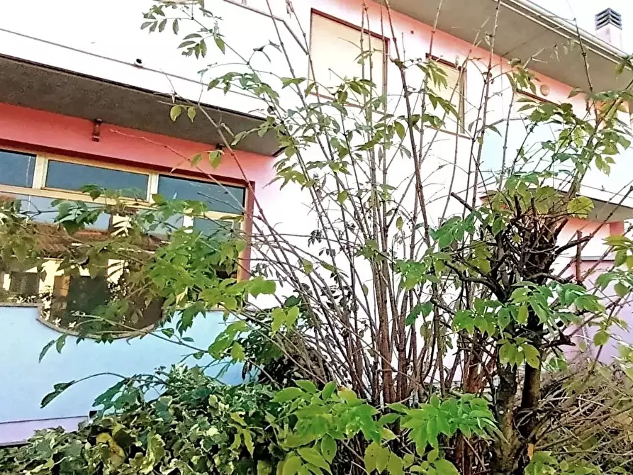 casa indipendente in vendita a Cimadolmo