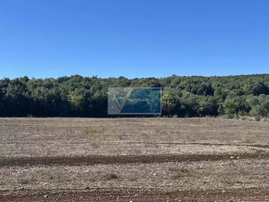 Immagine 2 di Casa trifamiliare in vendita  a Noto