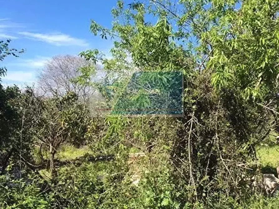 Immagine 5 di Terreno in vendita  a Siracusa