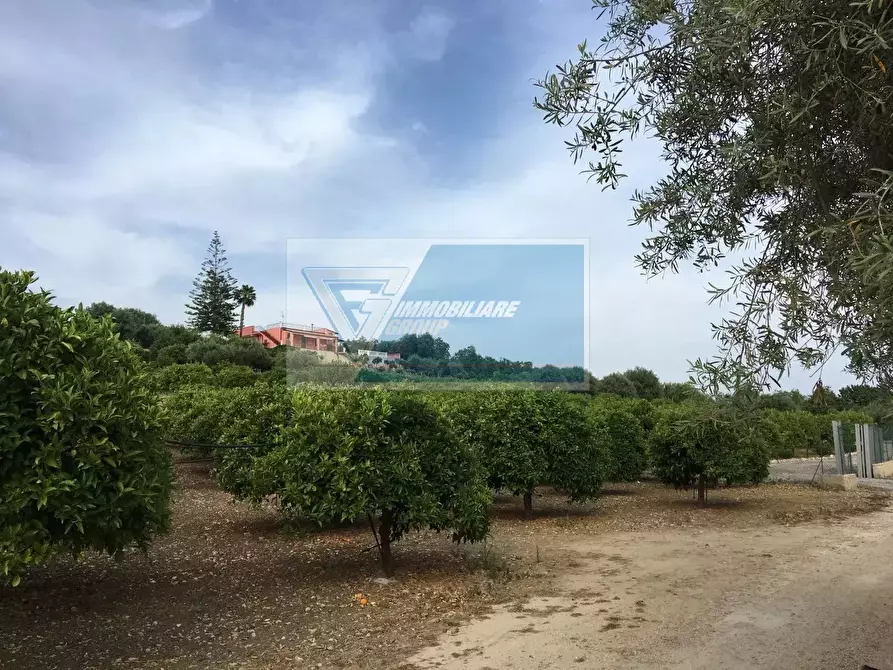 Immagine 4 di Terreno in vendita  a Siracusa