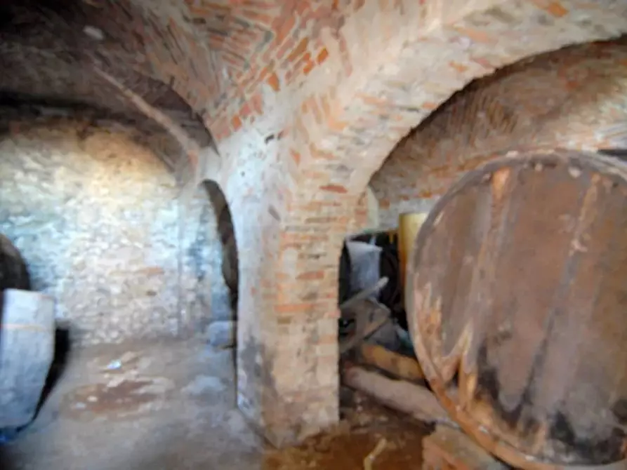 Immagine 14 di Terreno edificabile in vendita  a Barolo