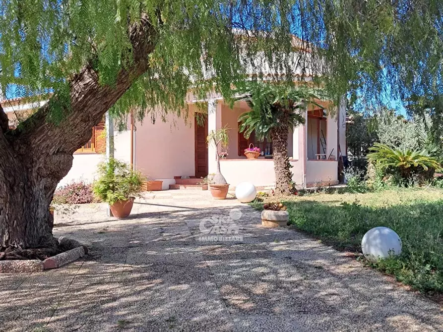 Immagine 4 di Terreno edificabile in affitto  a Marsala