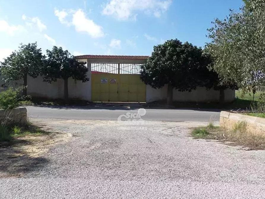 Immagine 3 di Terreno in vendita  a Marsala