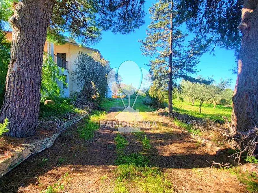 Immagine 24 di Terreno edificabile in vendita  in Contrada Bosco Falconeria a Partinico