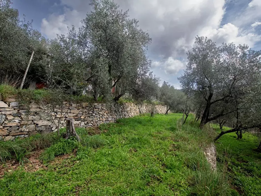 Immagine 45 di Terreno edificabile in vendita  in Via Nansola a Avegno
