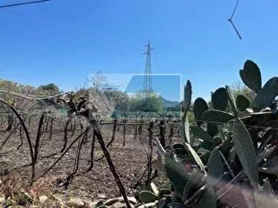 Immagine 16 di Terreno edificabile in vendita  a Siracusa