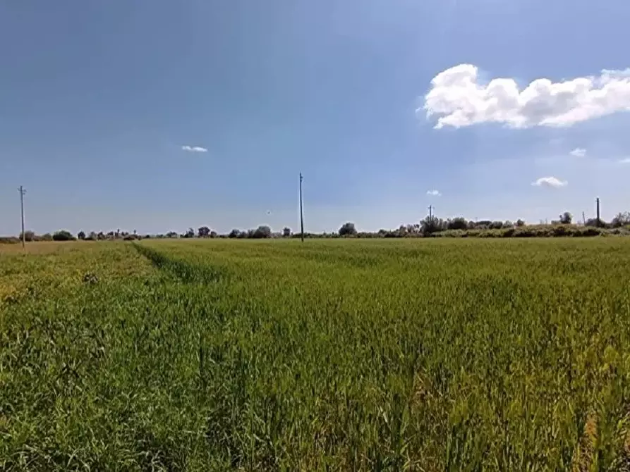 Immagine 1 di Terreno in vendita  in via Dei Gelsomini a Siracusa