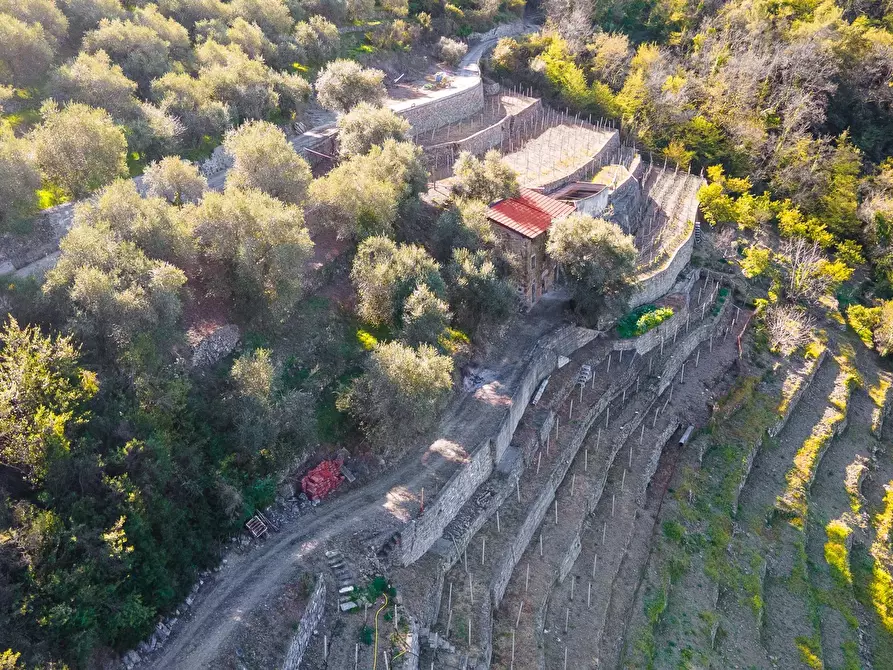 Immagine 9 di Terreno in vendita  a San Biagio Della Cima