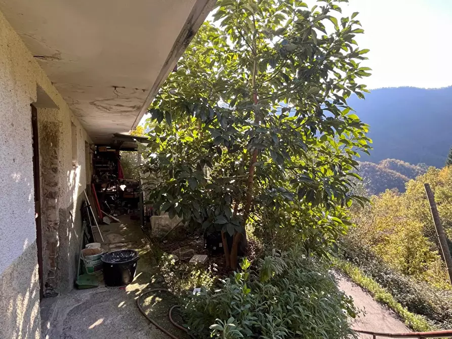 Immagine 4 di Terreno edificabile in vendita  a Mezzanego