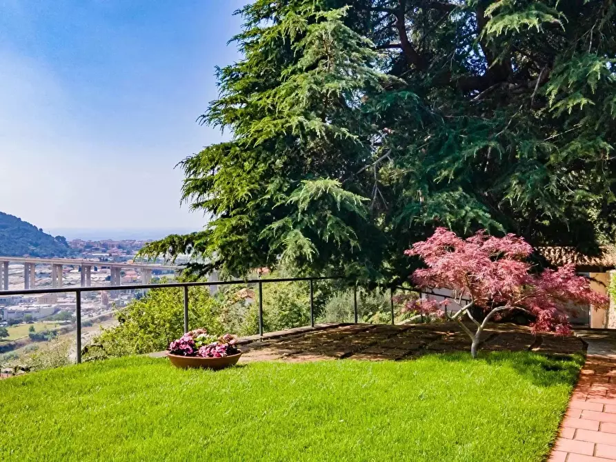 Immagine 2 di Terreno edificabile in vendita  in Strada degli Olandesi a Camporosso
