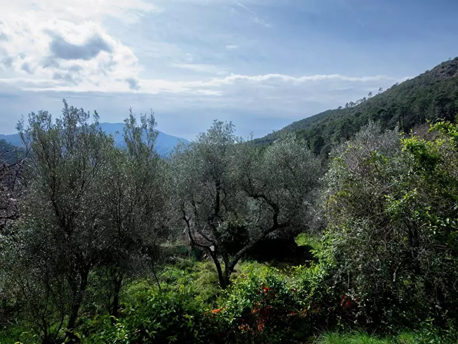 Immagine 43 di Terreno edificabile in vendita  in Via Nansola a Avegno