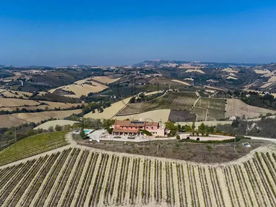 Immagine 6 di Terreno edificabile in vendita  in ripatransone a Ripatransone