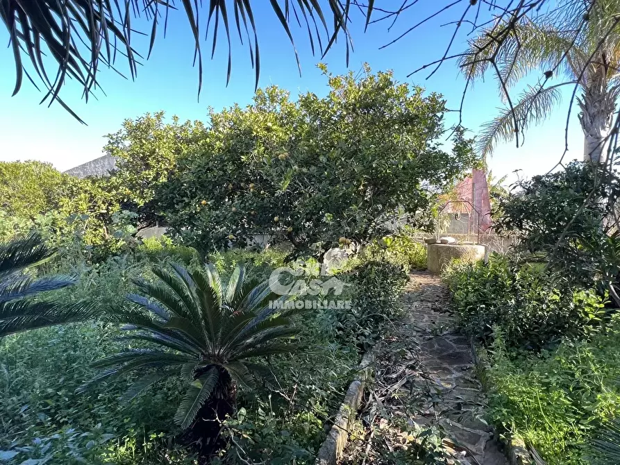 Immagine 5 di Terreno edificabile in vendita  in Contrada Ponte Fiumarella a Marsala