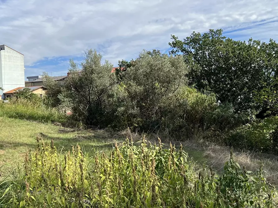 Immagine 3 di Terreno in vendita  a Cosenza