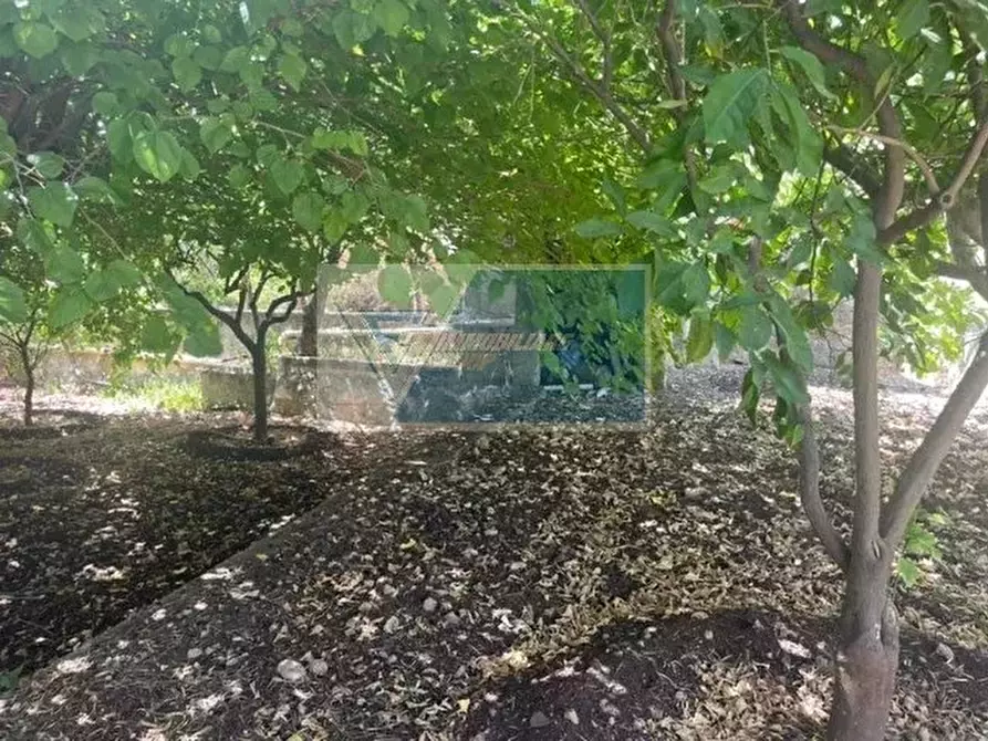 Immagine 24 di Terreno edificabile in vendita  in Via Monti Climiti a Buccheri