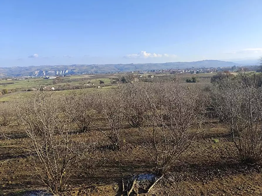 Immagine 13 di Terreno edificabile in vendita  a Carrù