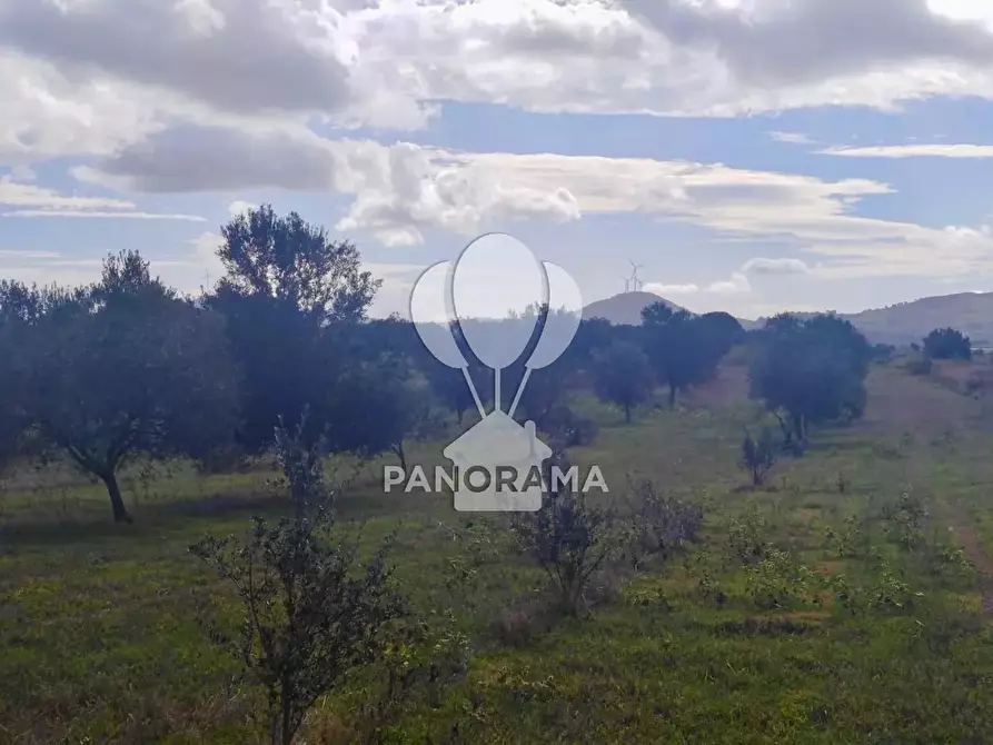 Immagine 21 di Terreno in vendita  in Contrada Manostalla a Balestrate