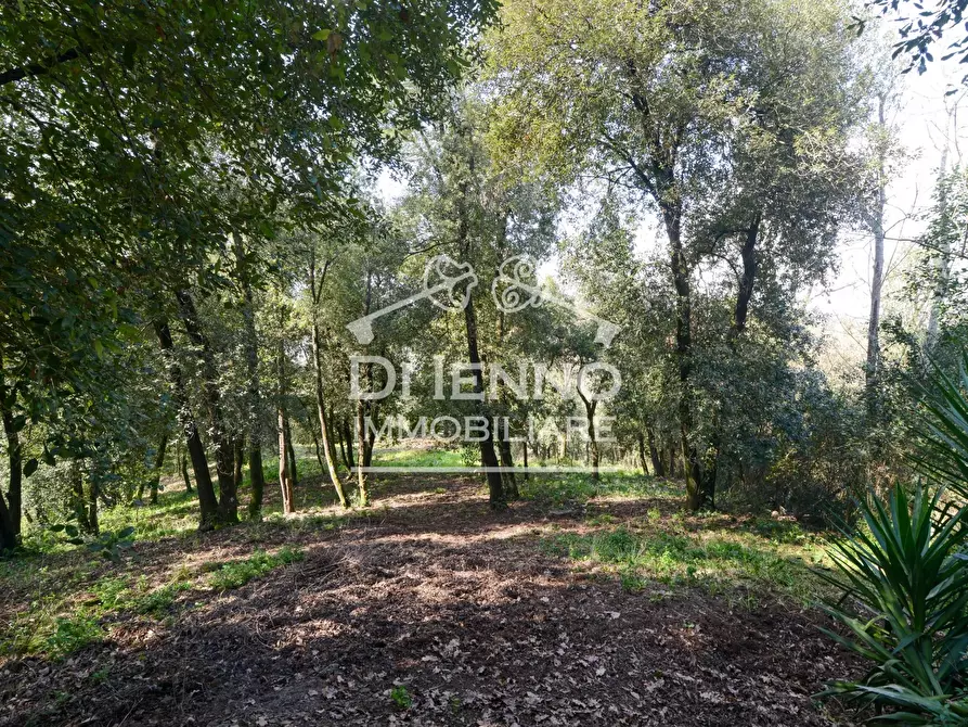 Immagine 32 di Terreno edificabile in vendita  in Comprensorio Colleromano a Canale Monterano