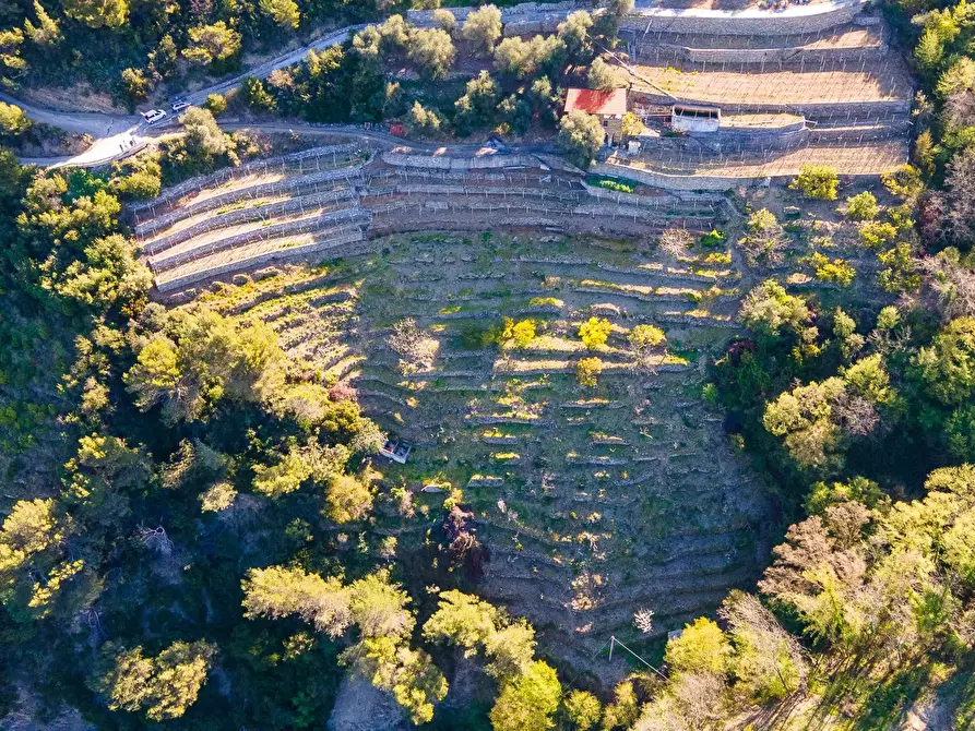 Immagine 5 di Terreno in vendita  a San Biagio Della Cima