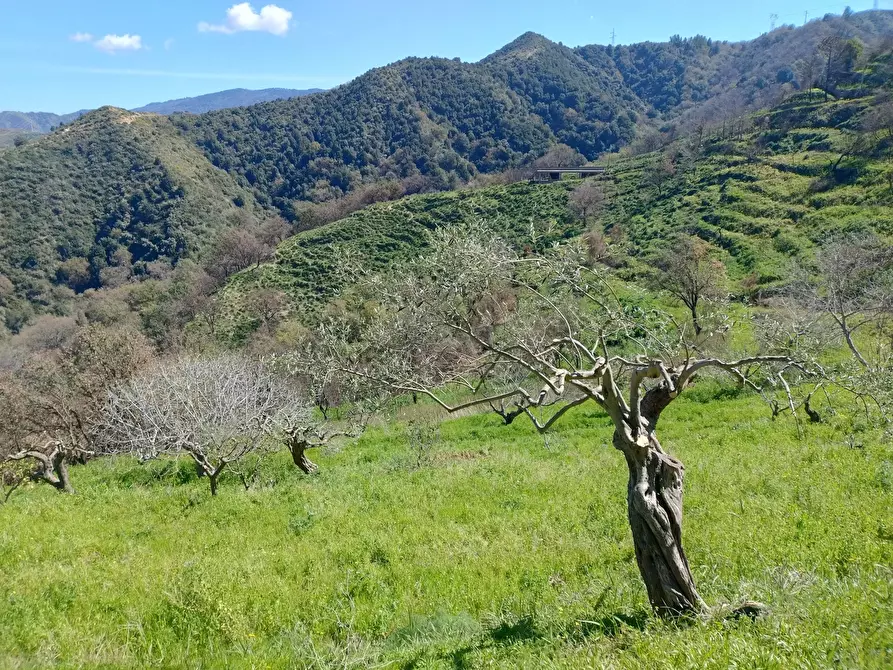 Immagine 1 di Terreno in vendita  in Contrada Bosco, roccavaldina, me a Condro'