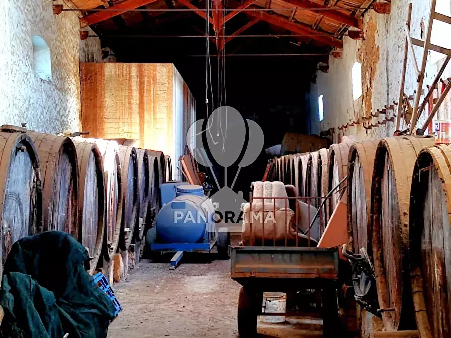 Immagine 8 di Terreno edificabile in vendita  in Contrada Fico a Alcamo