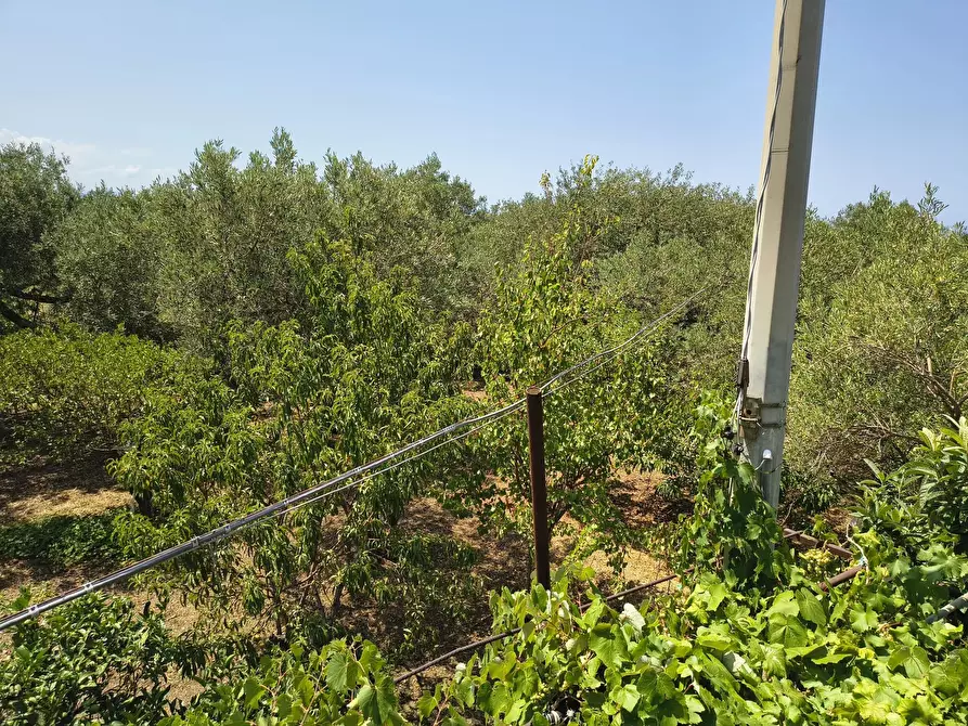 Immagine 6 di Terreno edificabile in vendita  a Messina