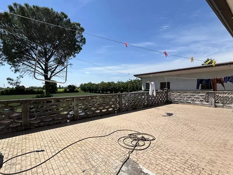 Immagine 4 di Casa trifamiliare in vendita  a Cimadolmo