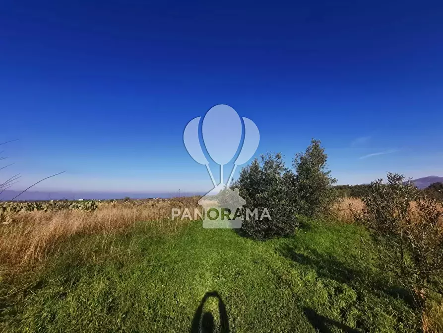 Immagine 7 di Terreno in vendita  a Partinico