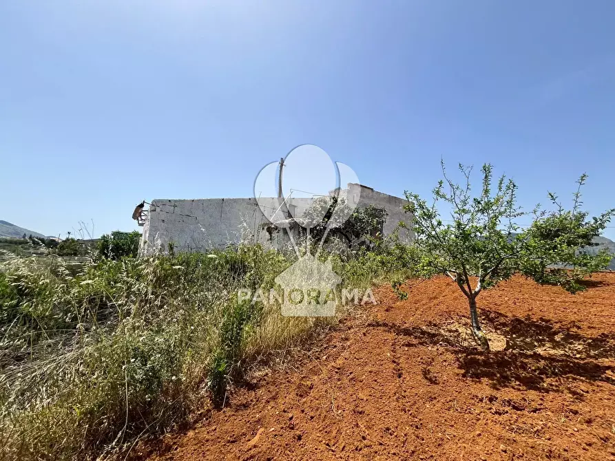 Immagine 10 di Terreno in vendita  in Contrada Vallone del Lupo a Alcamo