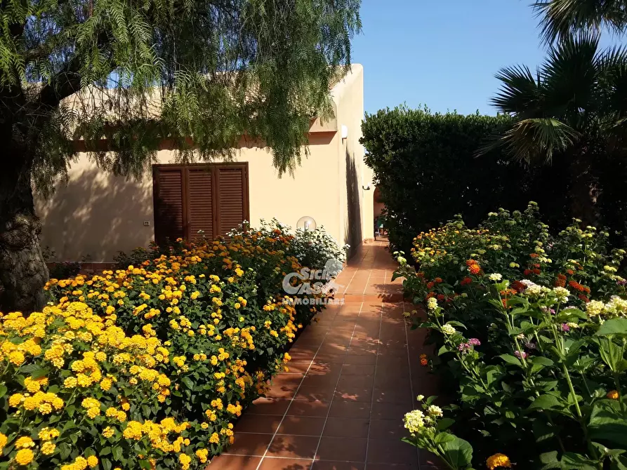 Immagine 11 di Terreno edificabile in vendita  a Marsala