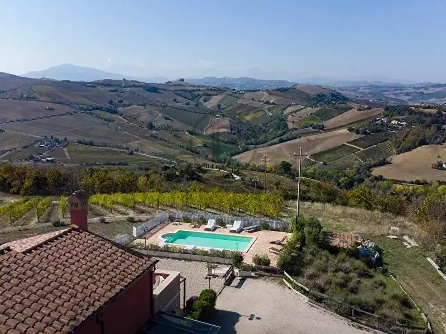 Immagine 5 di Terreno edificabile in vendita  in ripatransone a Ripatransone