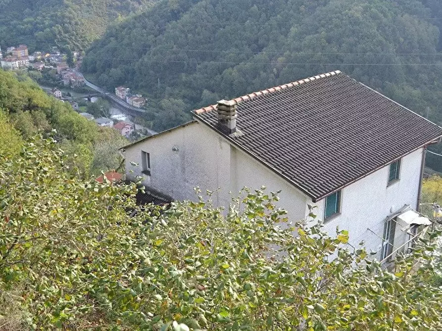 Immagine 1 di Terreno edificabile in vendita  in Località Vignolo Notola a Mezzanego