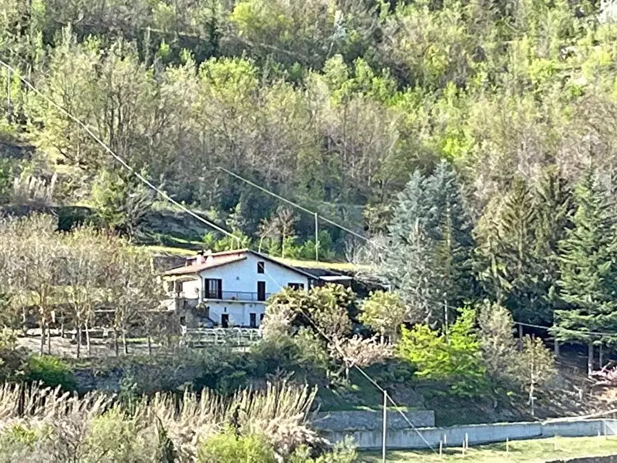 Immagine 1 di Terreno edificabile in vendita  a Bergolo