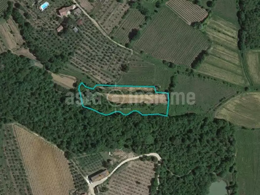 Terreno agricolo in vendita a Civitella In Val Di Chiana