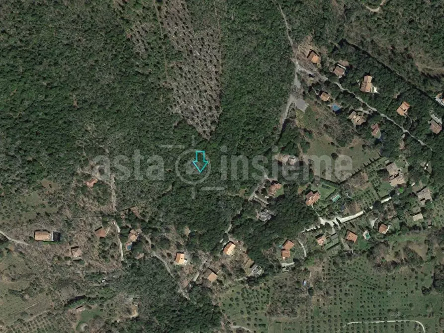 Terreno agricolo in vendita a Monteriggioni