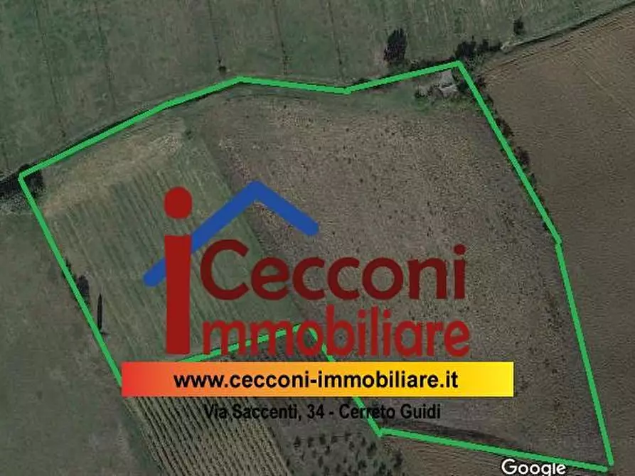 Terreno agricolo in vendita a Vinci