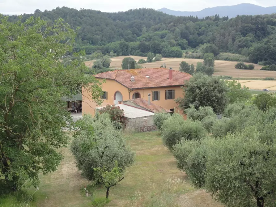 Casa colonica in vendita a Crespina Lorenzana