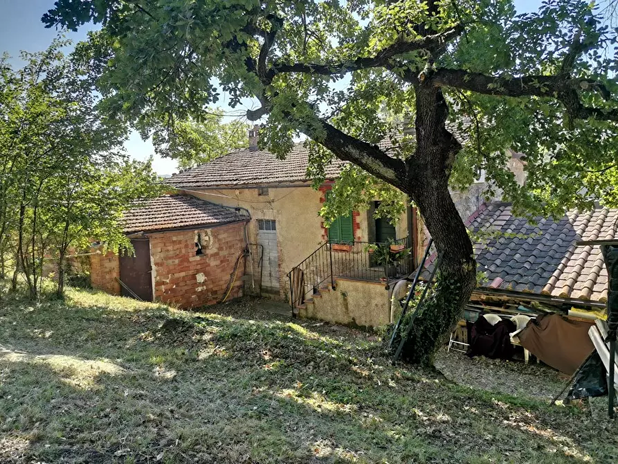 Casa colonica in vendita a Casole D'elsa
