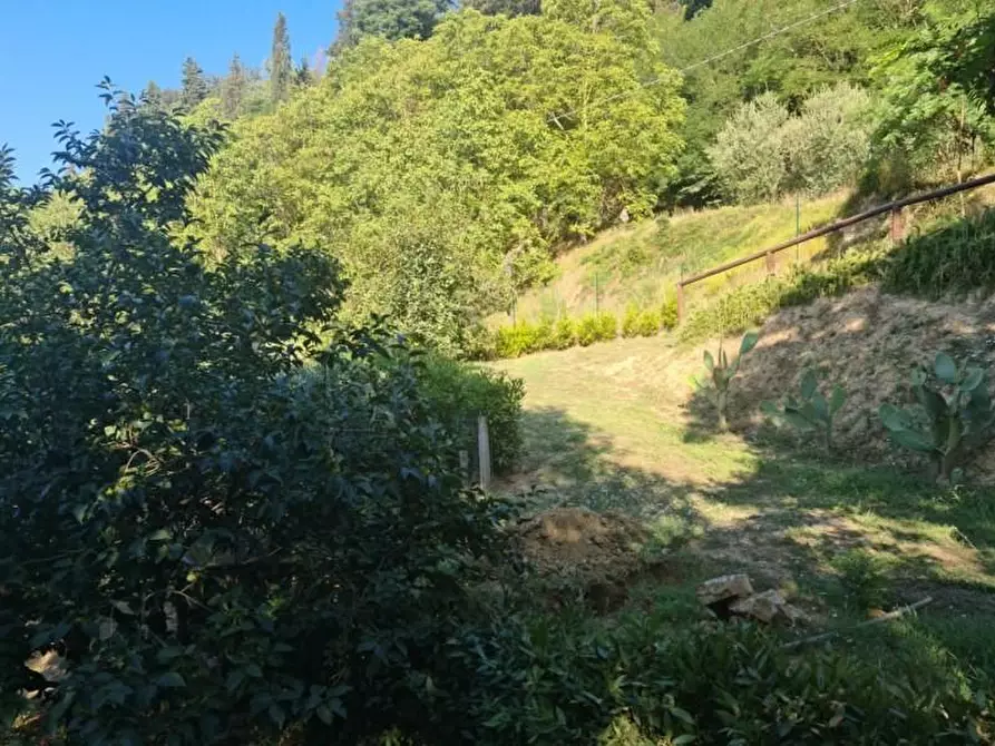 Terreno agricolo in vendita a Castelfranco Di Sotto