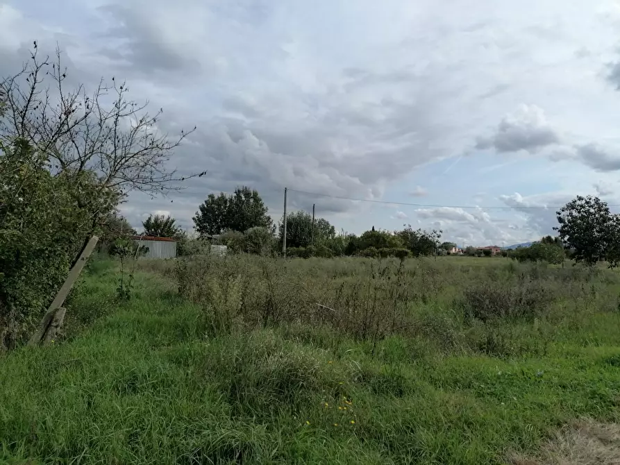 Terreno agricolo in vendita a Ponsacco