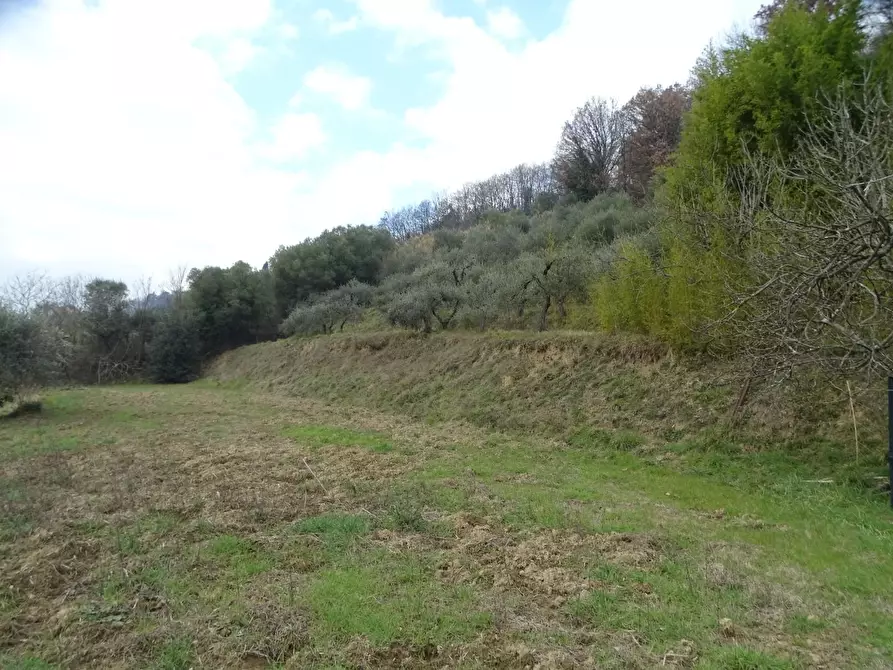 Terreno agricolo in vendita a Castelfranco Di Sotto