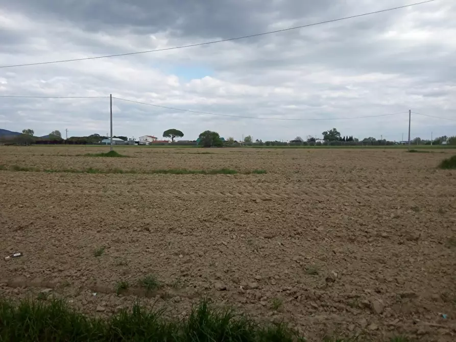 Terreno agricolo in vendita a Cascina