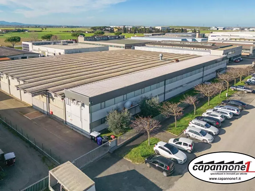 Capannone industriale in affitto a Pontedera
