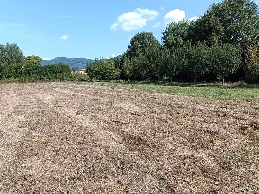 Terreno agricolo in vendita a San Giuliano Terme